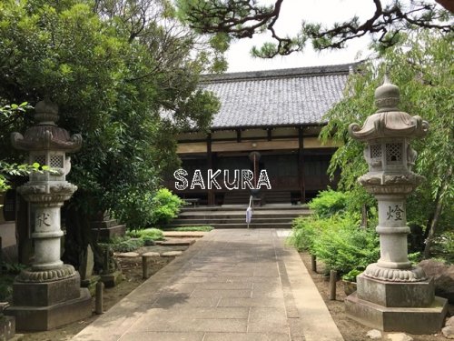 その他　無量寺（その他）まで207m