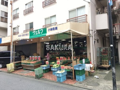 その他　ヴェルフ小林青果（その他）まで343m