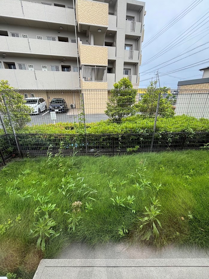 庭