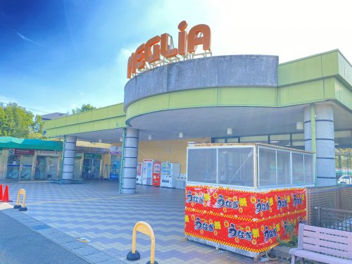 スーパー　メグリア三好店（スーパー）まで555m