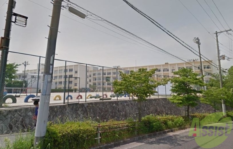 小学校　南五葉小学校（小学校）まで234m