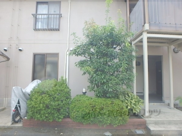 その他　植栽
