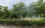 公園　市岡元町公園（公園）まで582m
