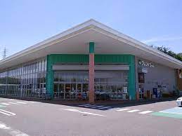 スーパー　フレンドマートグリーンヒル青山店（スーパー）まで256m