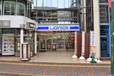コンビニ　ローソン　向ヶ丘遊園駅前店（コンビニ）まで218m