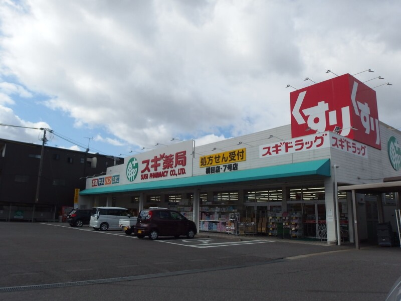 ドラックストア　スギ薬局橋目店（ドラッグストア）まで1317m