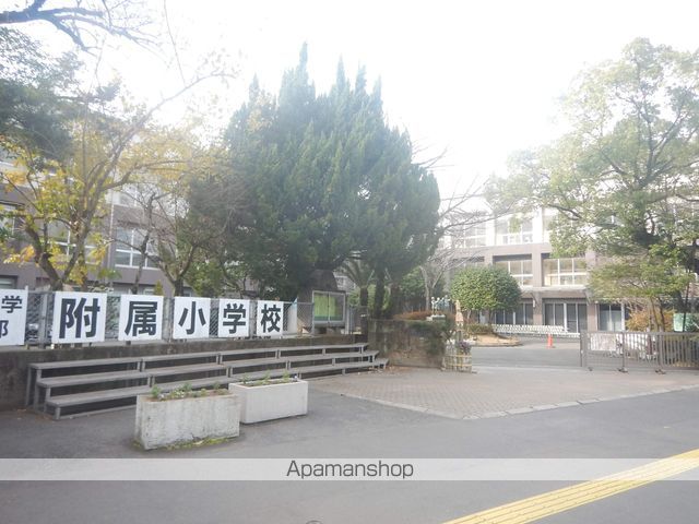小学校　国立鹿児島大学教育学部附属小学校（小学校）まで1069m