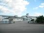小学校　藤崎町立藤崎中央小学校（小学校）まで1338m