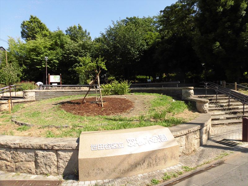 公園　羽根木公園（公園）まで270m
