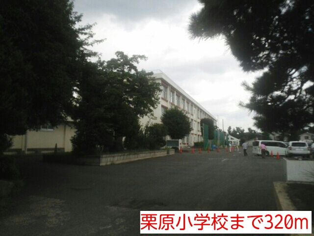 小学校　栗原小学校（小学校）まで320m
