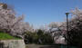 公園　会下山公園（公園）まで406m