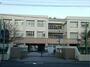 小学校　尼崎市立難波小学校（小学校）まで721m