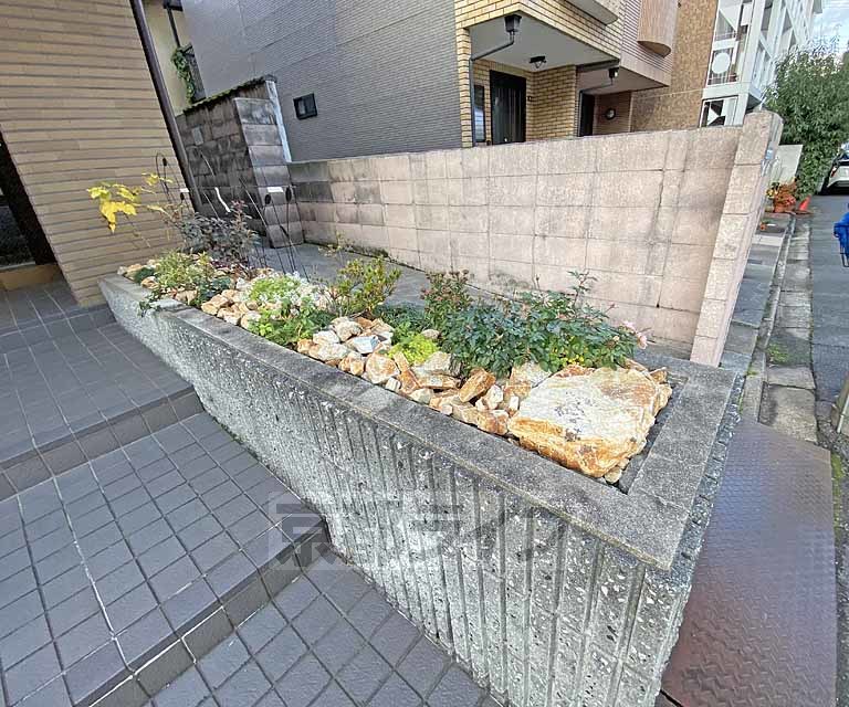 庭