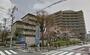 病院　東京共済病院（中目黒）（病院）まで1574m