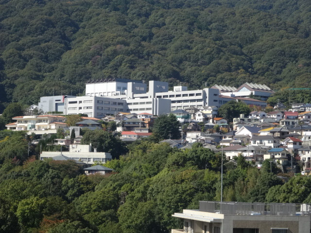 大学・短大　私立甲子園大学（大学・短大）まで2120m
