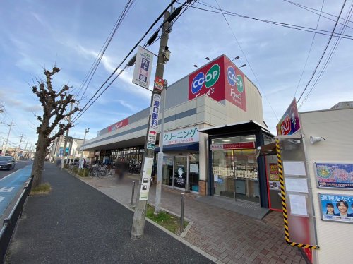 スーパー　水野家 コープ武庫之荘店（スーパー）まで602m