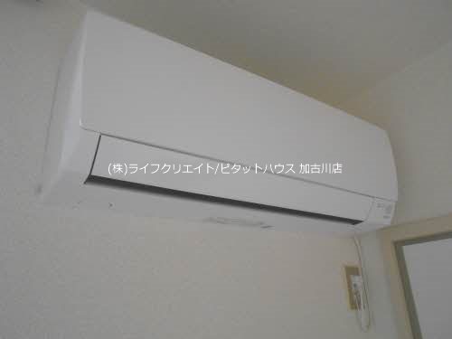 グリーンルミナスDのその他写真