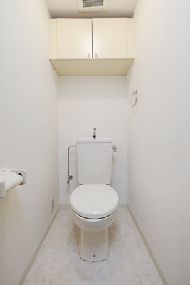 東急田園都市線 二子玉川駅 徒歩5分 5階建 築29年のトイレ写真