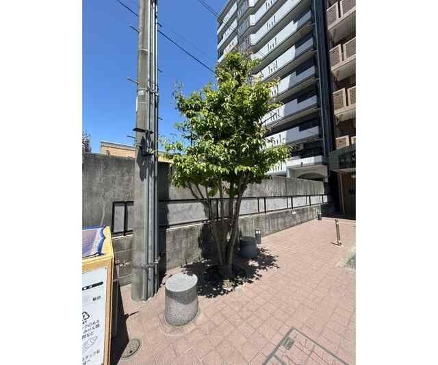 プライムレジデンス徳川の外観写真