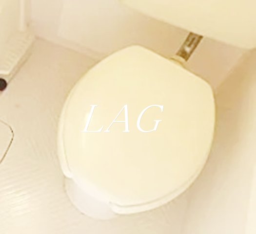 トイレ　トイレです。