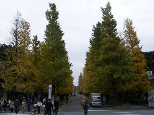 大学・短大　私立慶應義塾大学日吉キャンパス（大学・短大）まで1330m