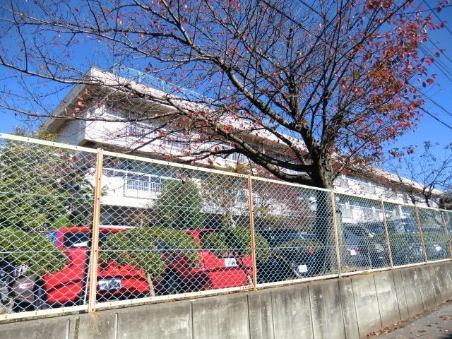 小学校　岩木小学校（小学校）まで790m