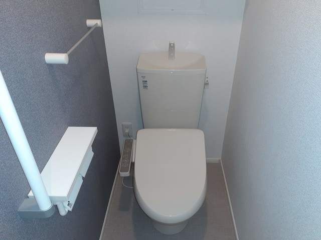 グレイス ワン IIIのトイレ写真
