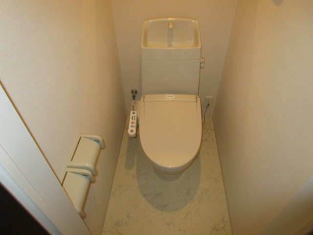 メゾン・ド・プレジール太子堂のトイレ写真