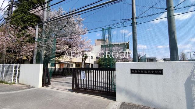小学校　新座市立栗原小学校（小学校）まで587m