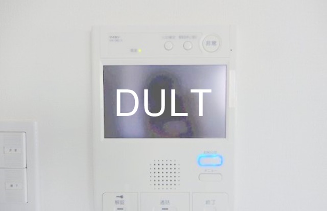 セキュリティ　モニター付きインターホンです。