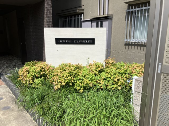 庭
