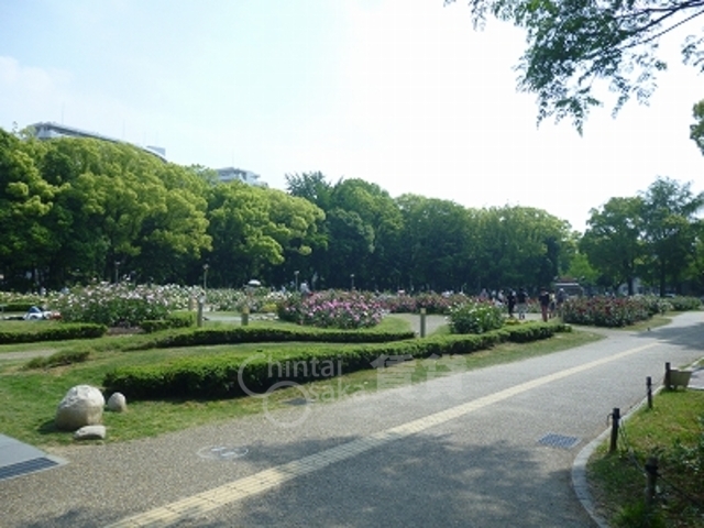 【大阪市西区京町堀のマンションの公園】