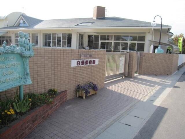 幼稚園・保育園　白菊保育園（幼稚園・保育園）まで499m