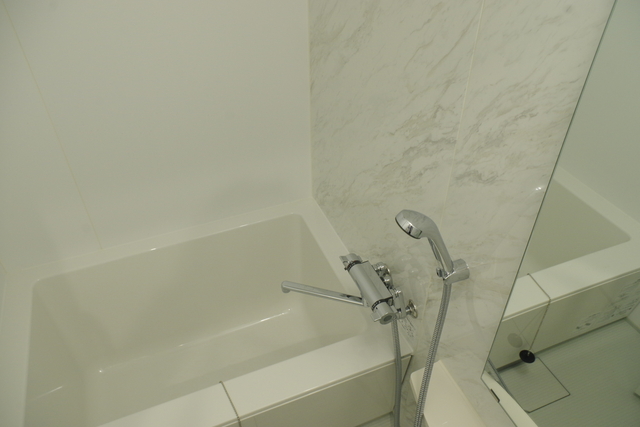 バス・シャワールーム　多機能、鏡付バス