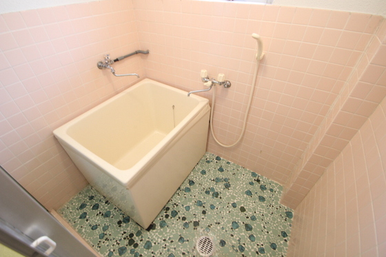 バス・シャワールーム　※別部屋の写真です