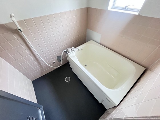 バス・シャワールーム　※別部屋の写真です