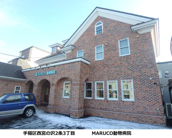 病院　ＭＡＲＵＣＯ動物病院（病院）まで1170m