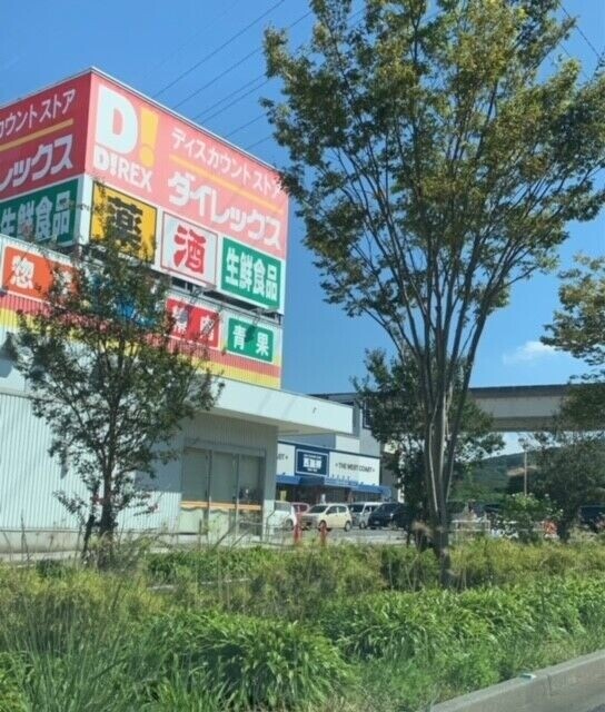 ショッピングセンター　DiREX伊都店（ショッピングセンター）まで1234m