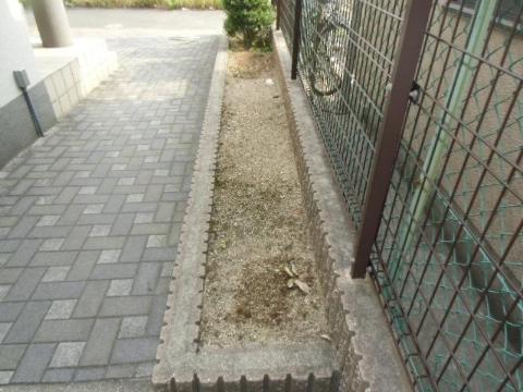 庭　庭（イメージ）