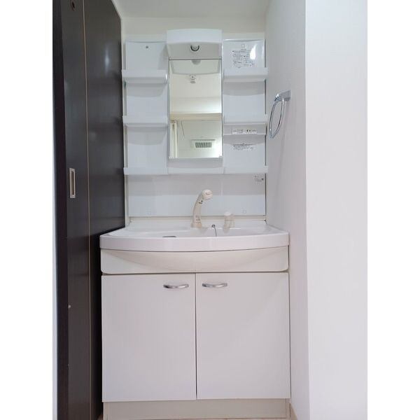 洗面設備　※写真は別号室です。