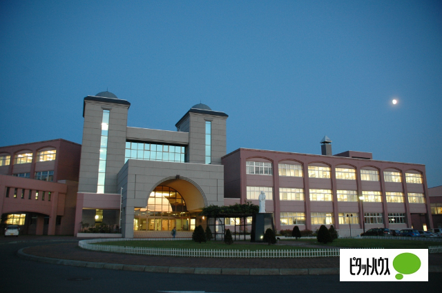 大学・短大　私立藤女子大学（大学・短大）まで389m