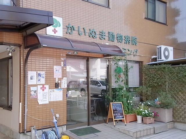 その他　かいぬま動物病院（その他）まで1m