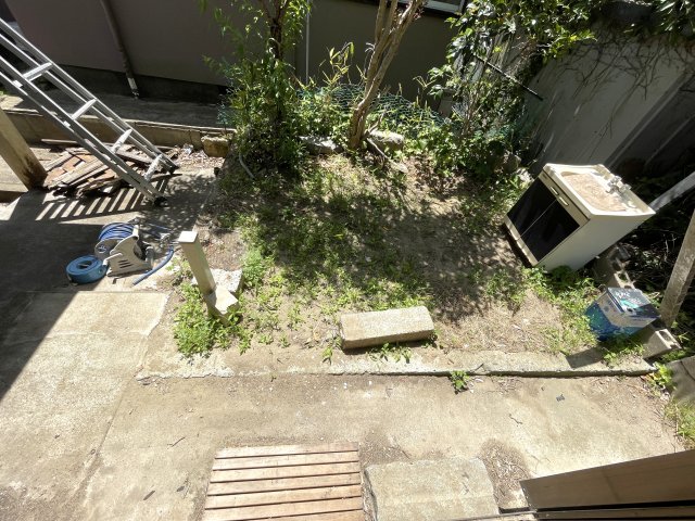 庭
