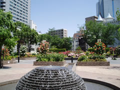 公園　氷川公園（公園）まで579m