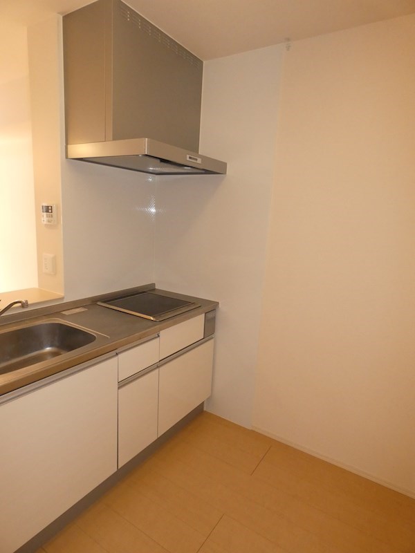 キッチン　反転タイプの部屋の写真です