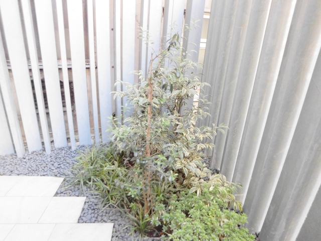 その他　緑があって癒されますね☆