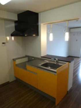 キッチン　類似画像　現状優先