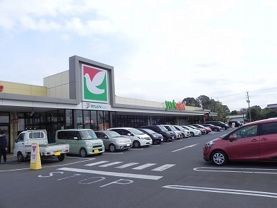 その他　ヨークフーズ柏の葉公園店（その他）まで800m