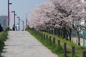 公園　隅田川（公園）まで200m
