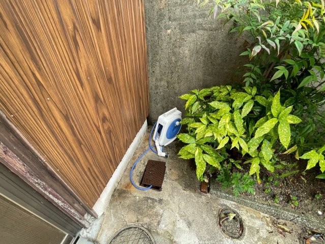 庭